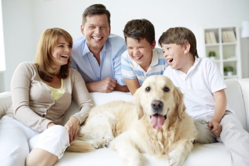 3 Ways Your Pet Is Affecting Your Indoor Air Quality