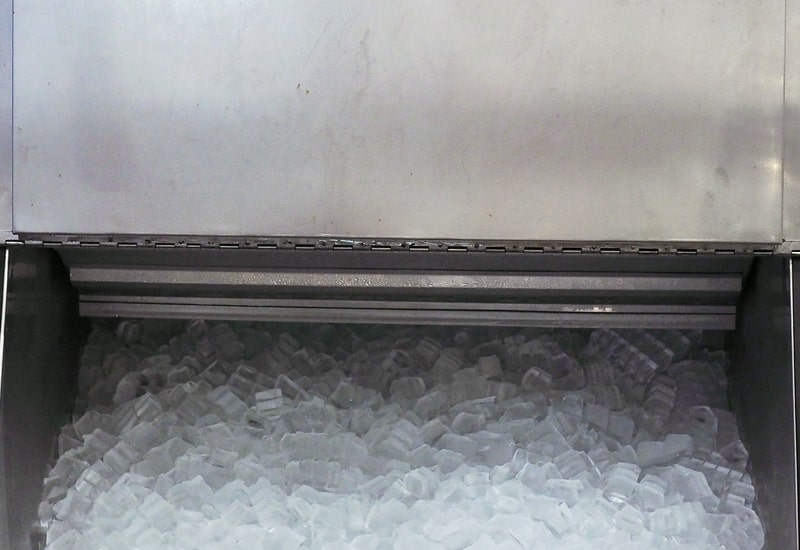 3 Things You Hope You Never Find in Your Ice Machine