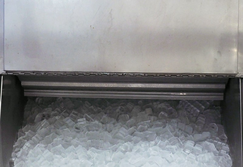 3 Things You Hope You Never Find in Your Ice Machine