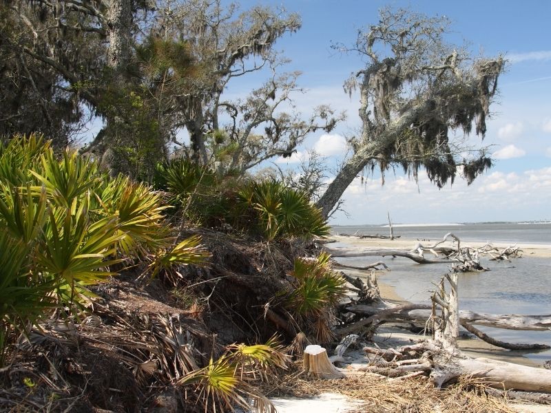 3 Reasons to Consider Geothermal HVAC on Jekyll Island, GA