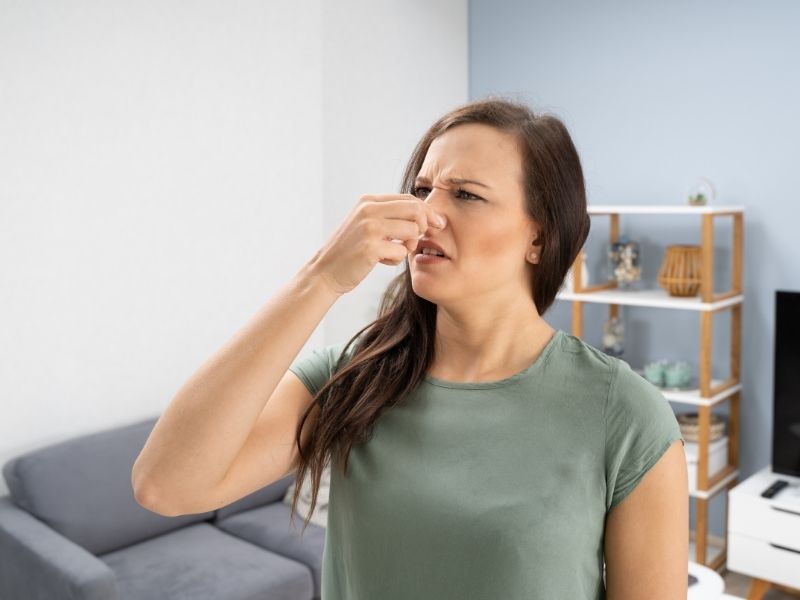 Air Conditioner Odor in Summer: What Jekyll Island Homeowners Need to Know